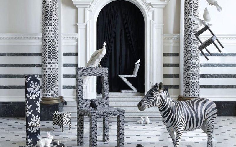Black & White - Laurie Mac Interiors